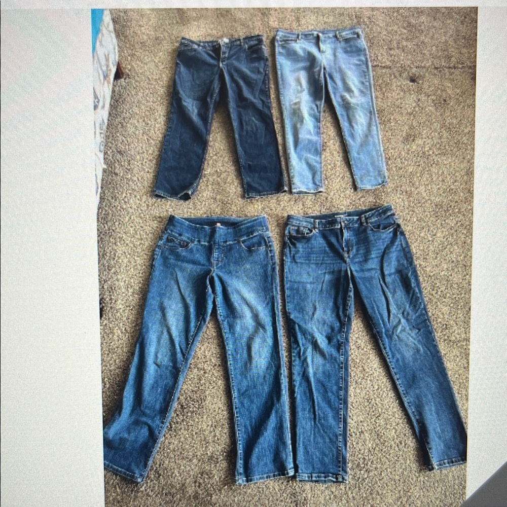 Levi's/ JagJeans/Westport/Old Navy Lot of Womens Jeans sz 14 short